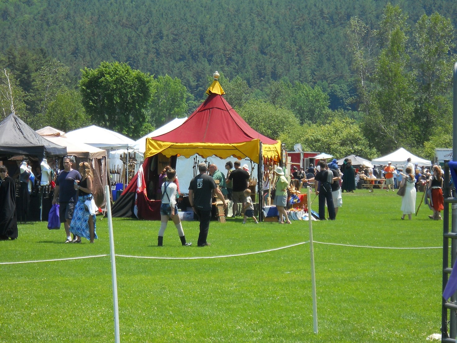 Cellole oggi: panorama e opportunità